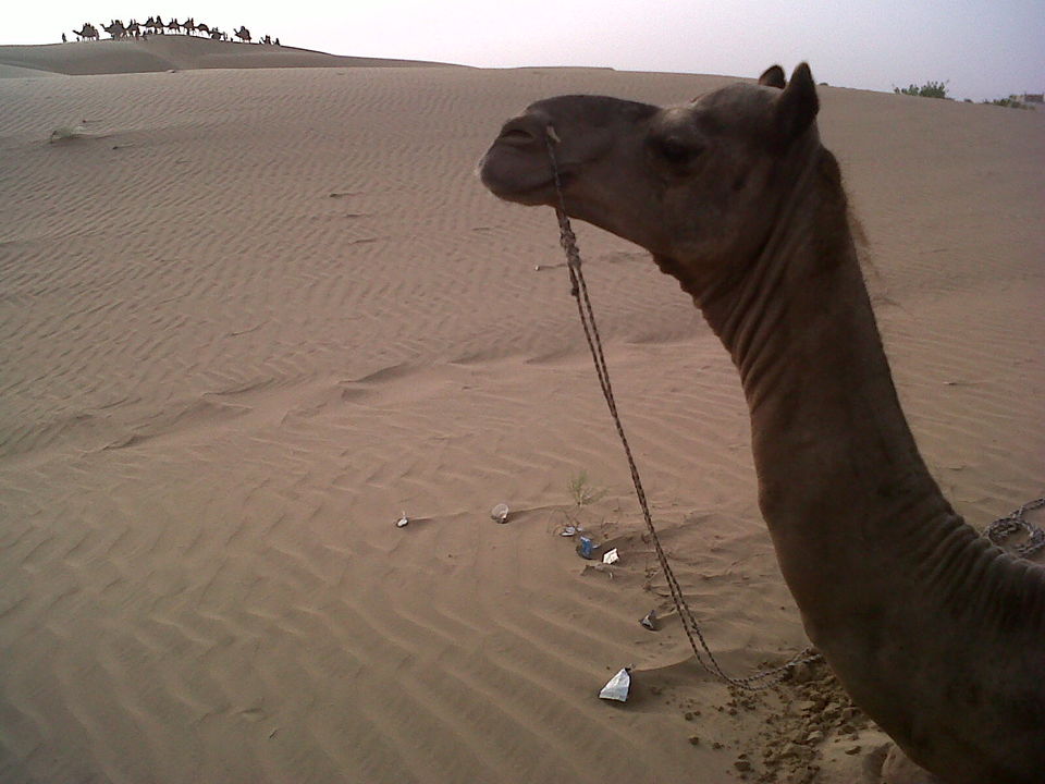 Photo of Travelling beyond hills & beaches: Jaisalmer-The Golden City 16/18 by Geetanjali