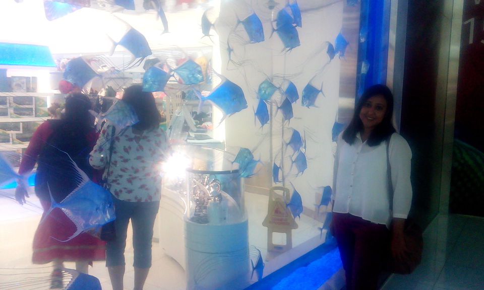 Photo of Land of Everything: 36 Hours in Dubai (Solo)! 2/7 by Geetanjali