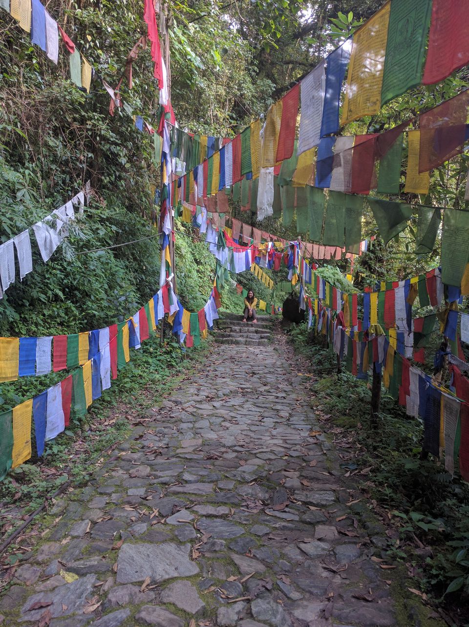 Photo of Fluttering Blessings- Everything about Prayer flags 2/6 by Geetanjali