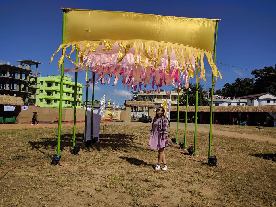 Photo of A lowdown on India's first and only Cherry Blossom festival 1/10 by Geetanjali