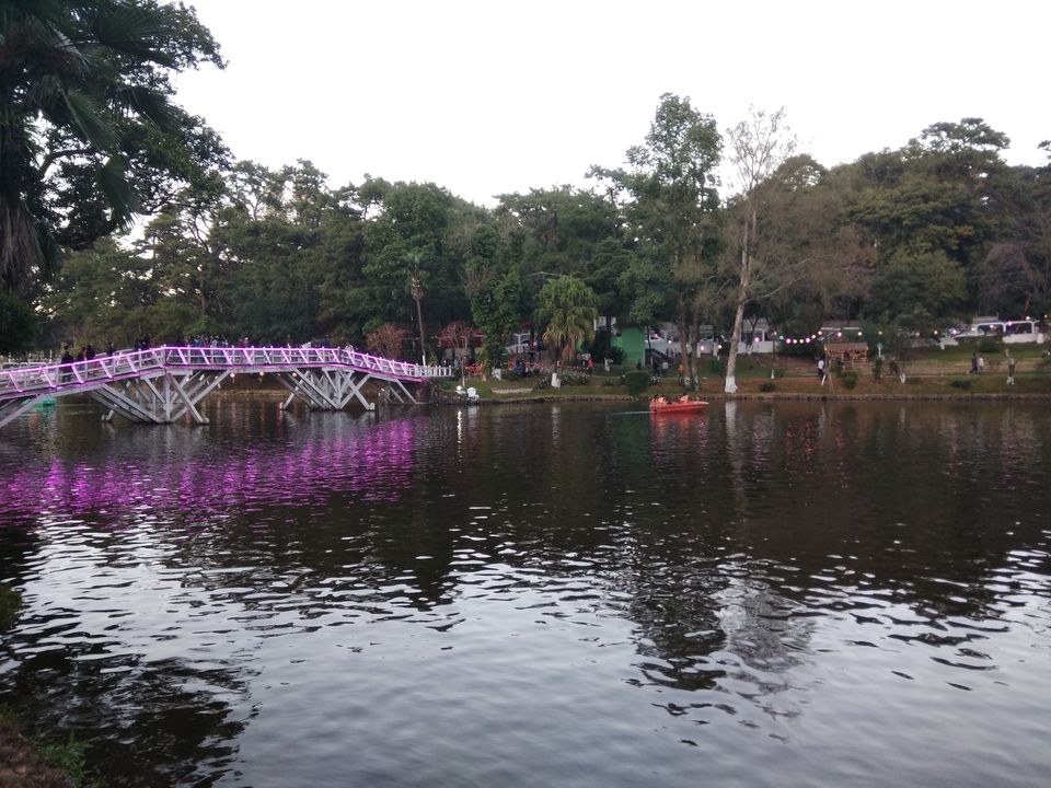 Photo of A lowdown on India's first and only Cherry Blossom festival 4/10 by Geetanjali