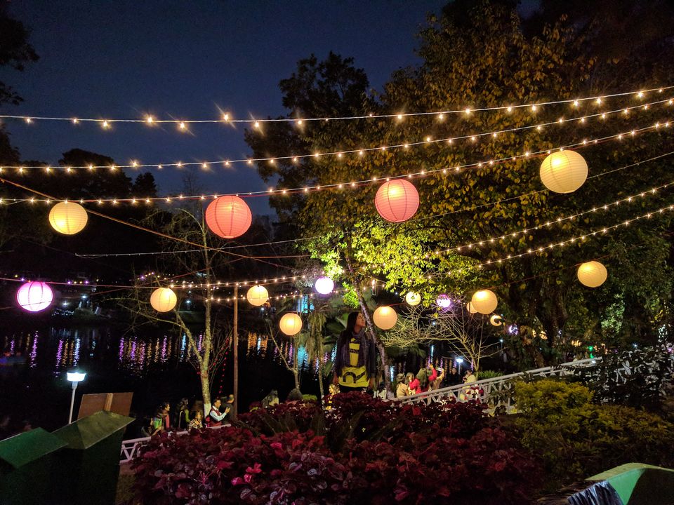 Photo of A lowdown on India's first and only Cherry Blossom festival 6/10 by Geetanjali
