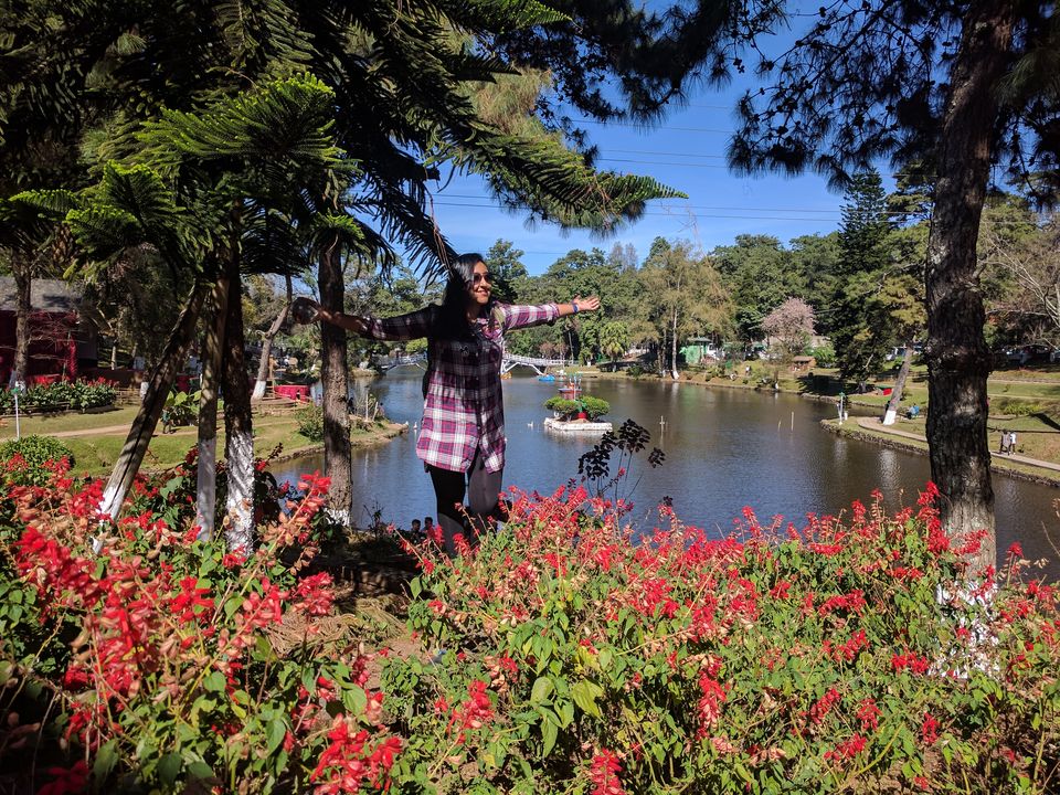 Photo of A lowdown on India's first and only Cherry Blossom festival 8/10 by Geetanjali