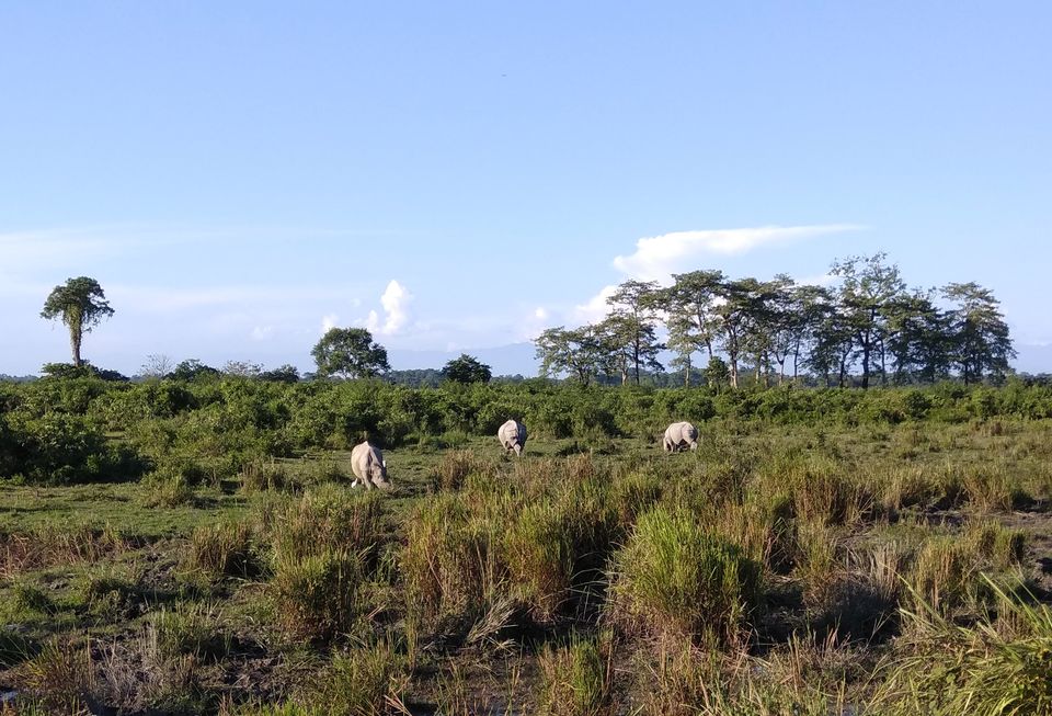 Photo of Girls Backpacking in Assam:The Ultimate Guide 2/11 by Geetanjali