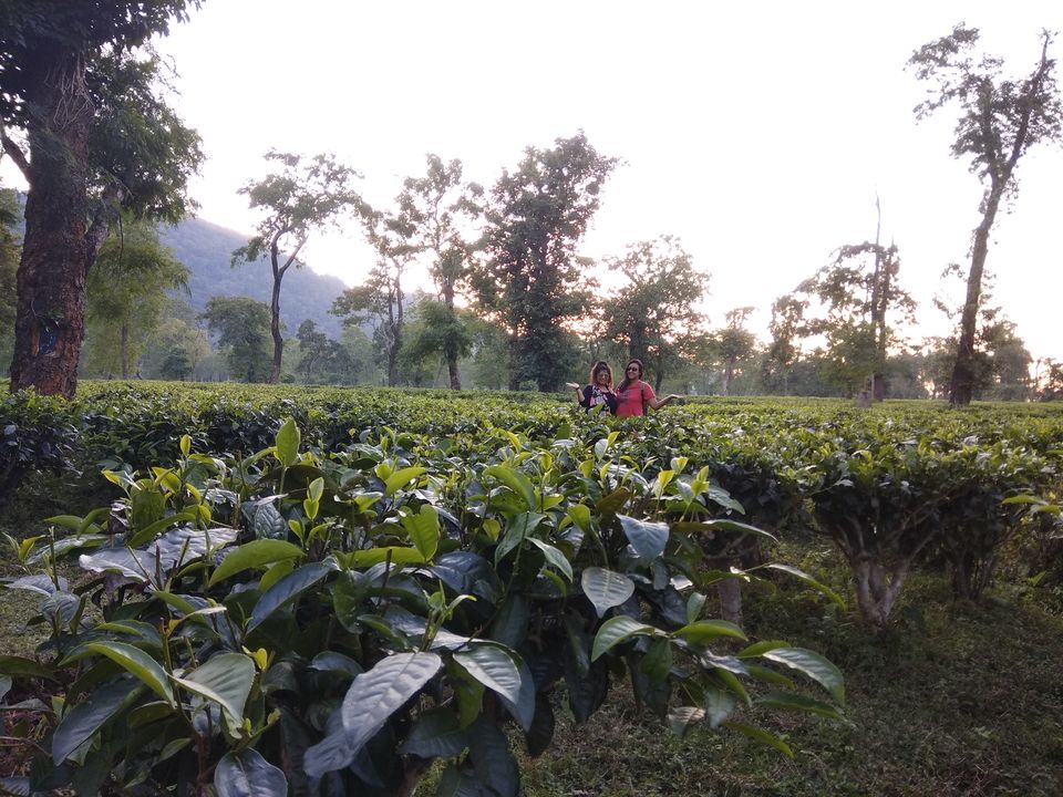 Photo of Girls Backpacking in Assam:The Ultimate Guide 6/11 by Geetanjali
