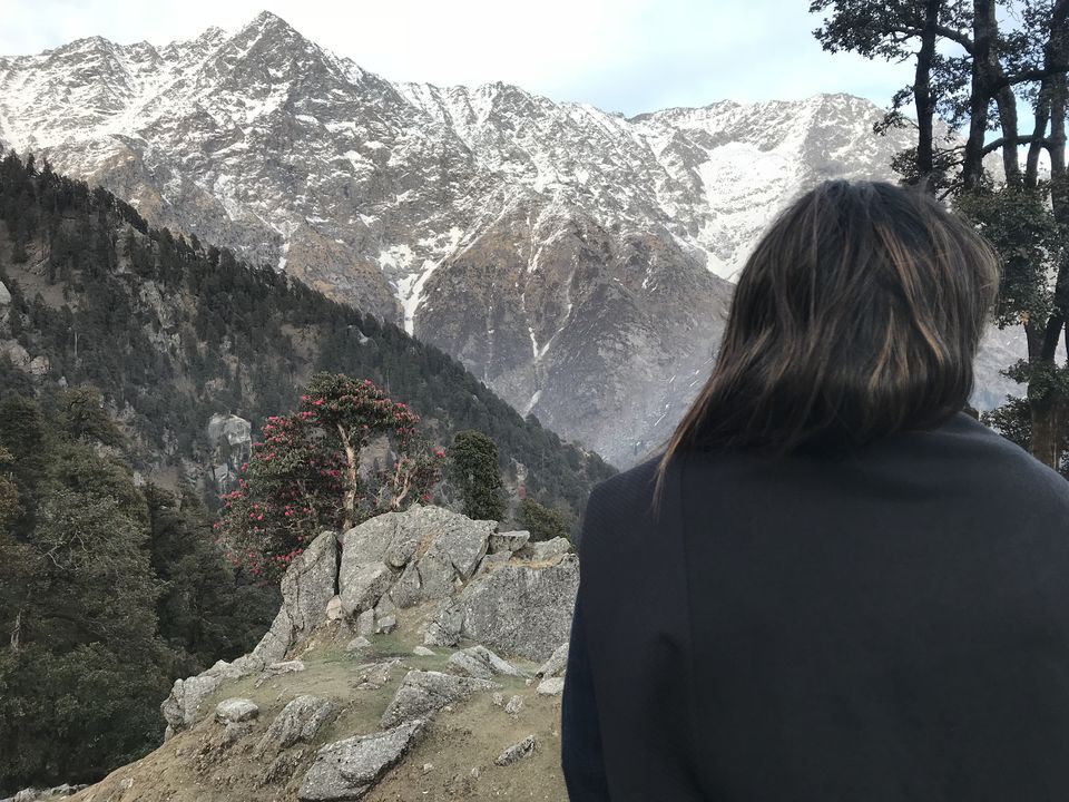 Photo of A beginner's Guide to Triund by Geetanjali