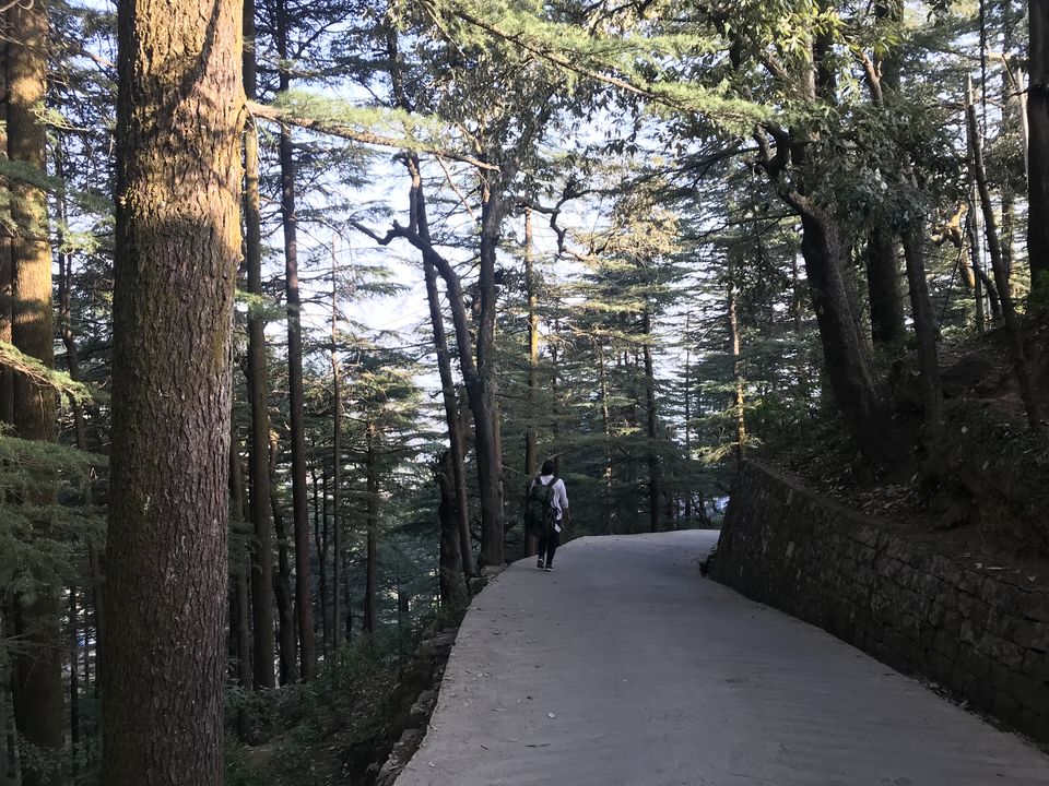 Photo of A beginner's Guide to Triund 2/7 by Geetanjali