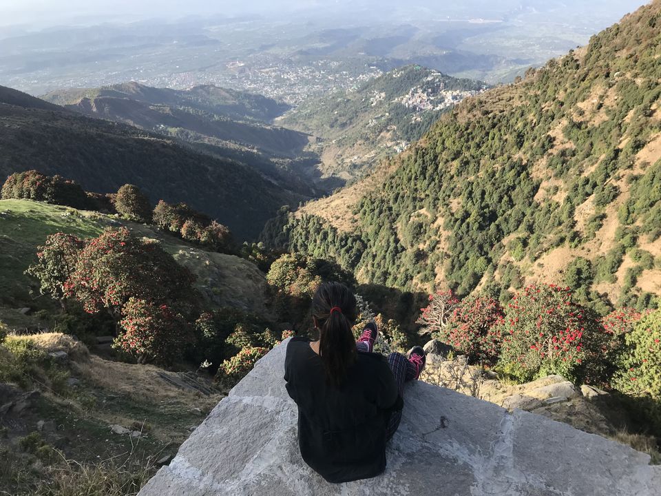 Photo of A beginner's Guide to Triund 4/7 by Geetanjali