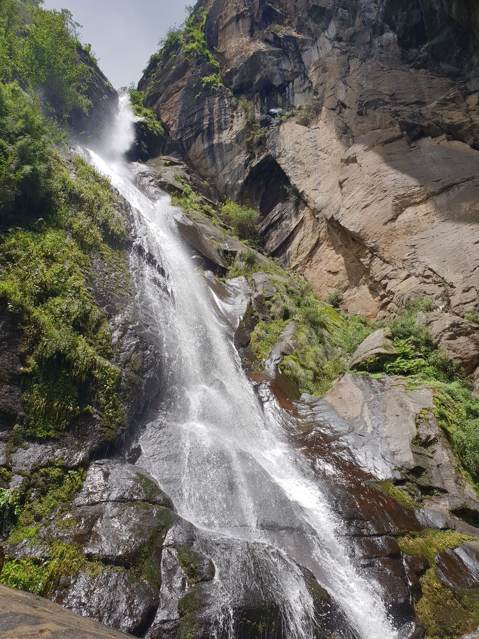 Photo of The complete Guide to Tiger Trek: Bhutan 3/4 by Geetanjali