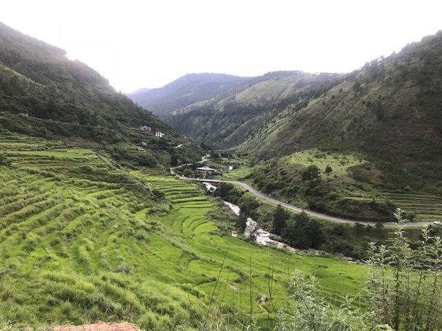 Photo of Enchanted Faraway Land- Punakha 8/9 by Geetanjali