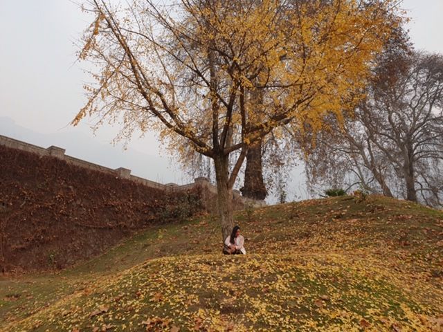 Photo of 8 hours in Srinagar:The Complete Guide 3/10 by Geetanjali