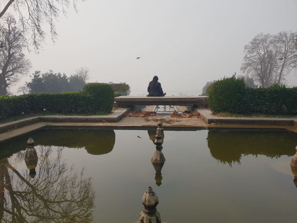 Photo of 8 hours in Srinagar:The Complete Guide 9/10 by Geetanjali