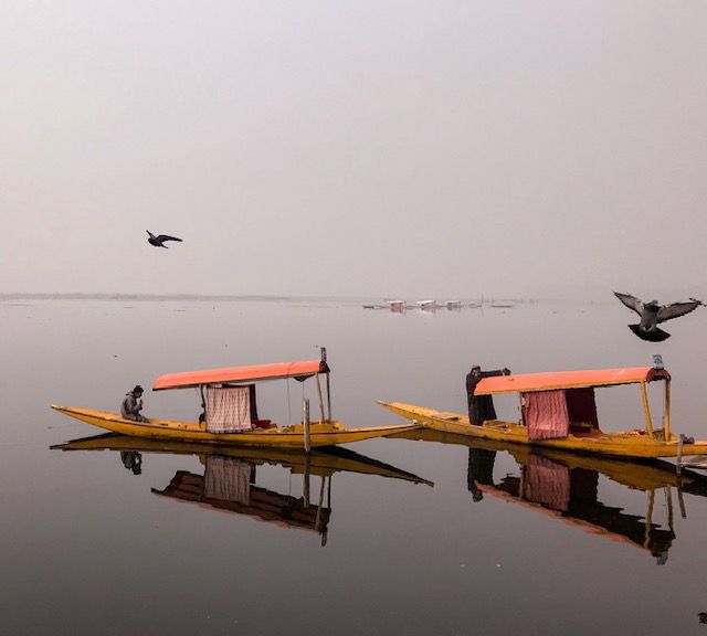 Photo of 8 hours in Srinagar:The Complete Guide 10/10 by Geetanjali