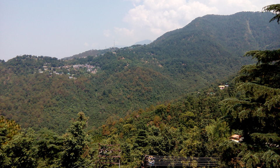 Photo of Why Mcleodganj makes me hungry and happy 10/14 by Geetanjali