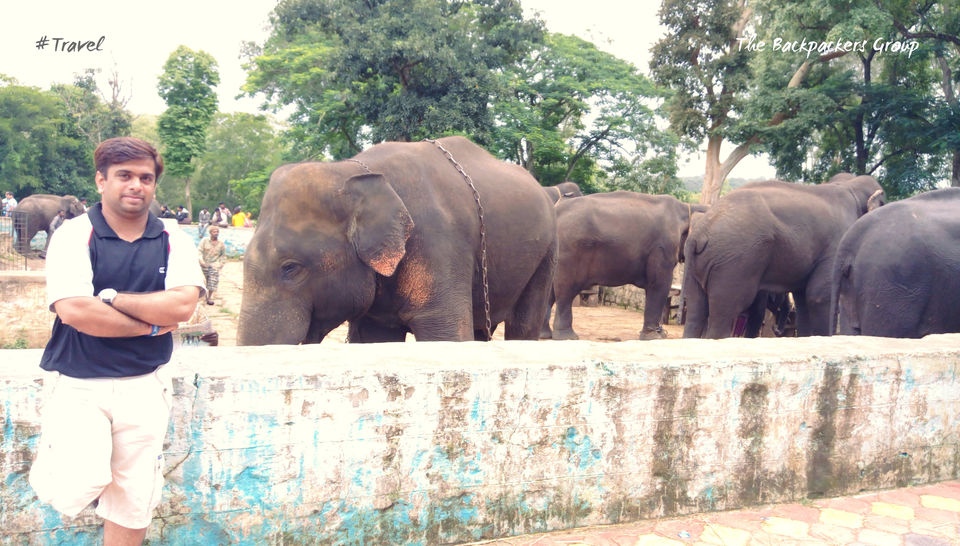 Photo of Experience Coorg – The Scotland of India by Urvesh Bhatt