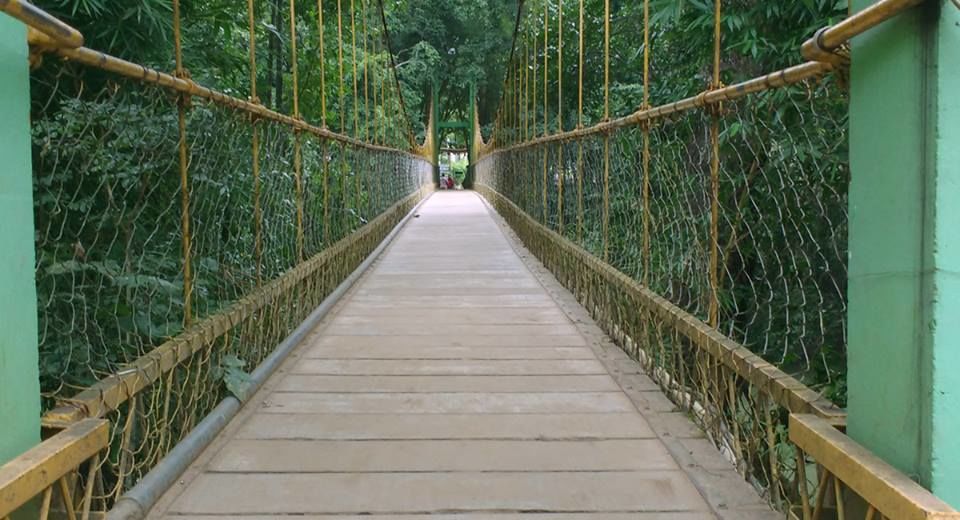 Photo of Experience Coorg – The Scotland of India by Urvesh Bhatt