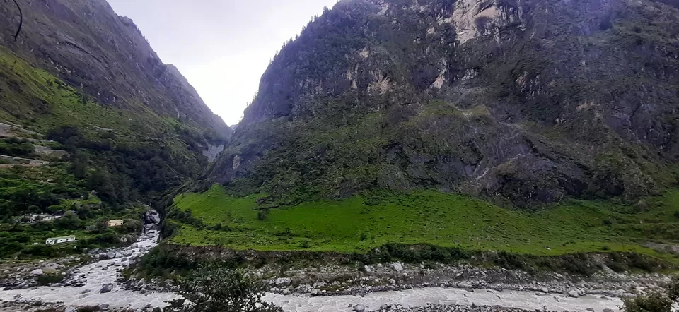 Photo of In search of Brahma Kamal by Debjyoti Majumder