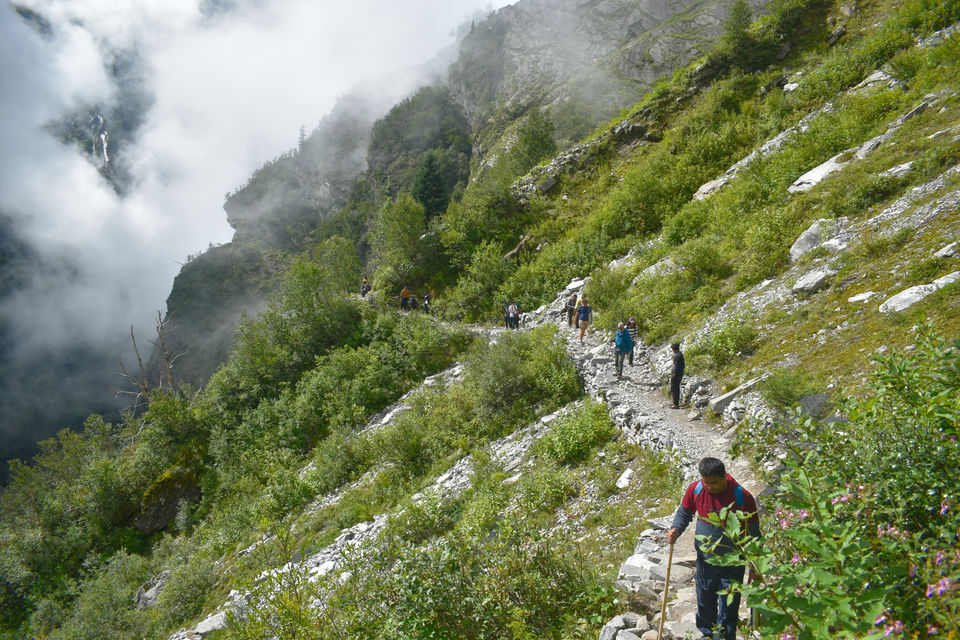 Photo of Valley of Flowers National Park, Uttarakhand, India by Debjyoti Majumder