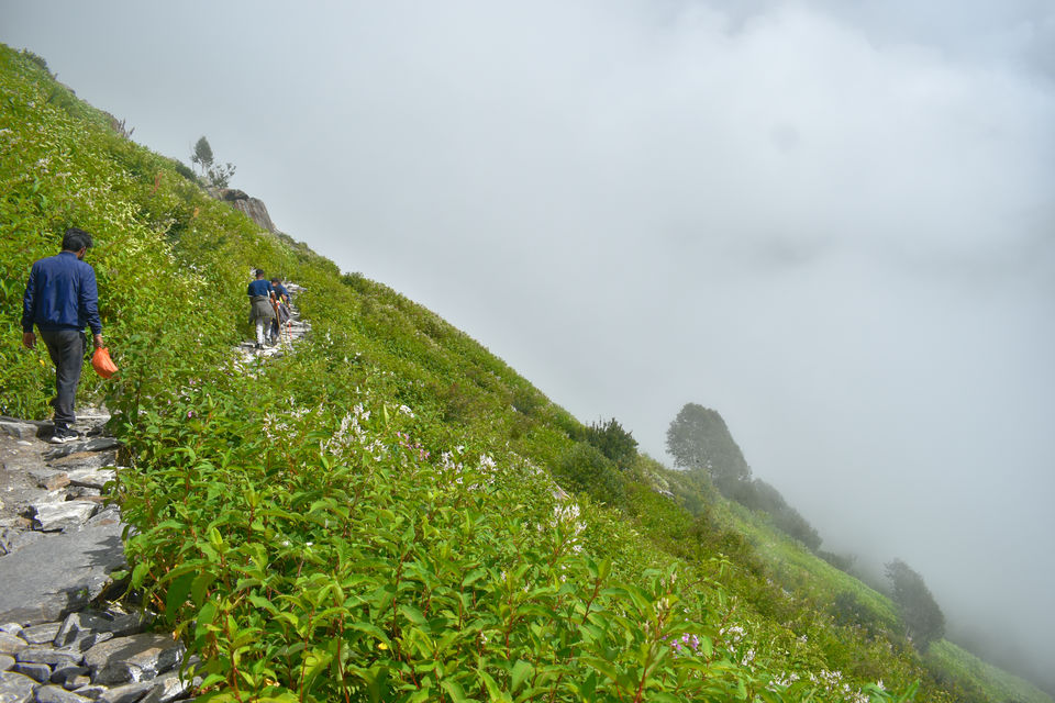 Photo of Valley of Flowers National Park, Uttarakhand, India by Debjyoti Majumder