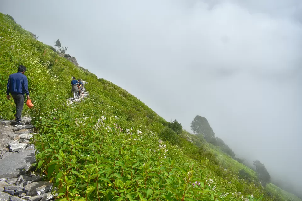 Photo of Valley of Flowers National Park, Uttarakhand, India by Debjyoti Majumder