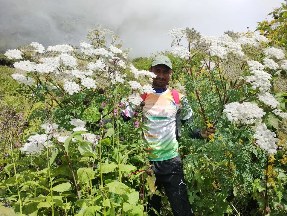 Photo of Valley of Flowers National Park, Uttarakhand, India by Debjyoti Majumder