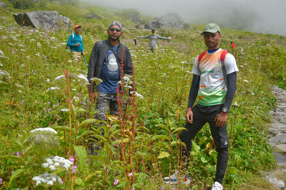 Photo of Valley of Flowers National Park, Uttarakhand, India by Debjyoti Majumder