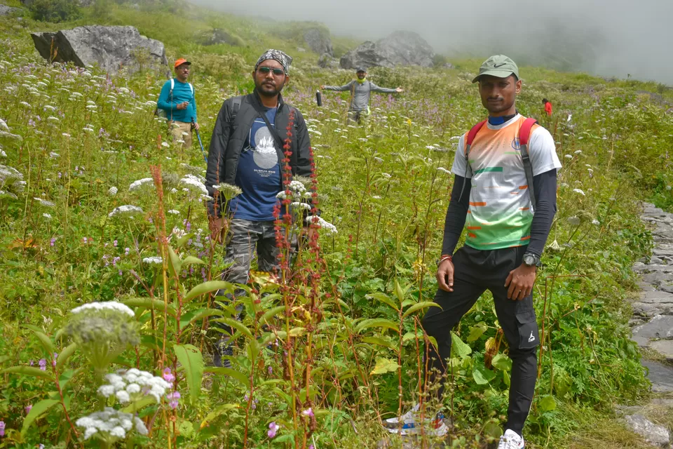 Photo of Valley of Flowers National Park, Uttarakhand, India by Debjyoti Majumder