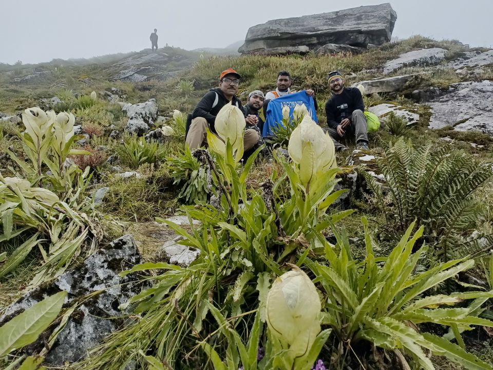 Photo of In search of Brahma Kamal by Debjyoti Majumder