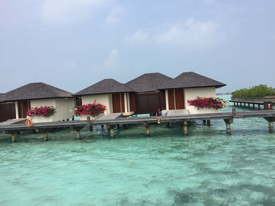 Photo of Leisure Trip to Maldives by Yamini Rege