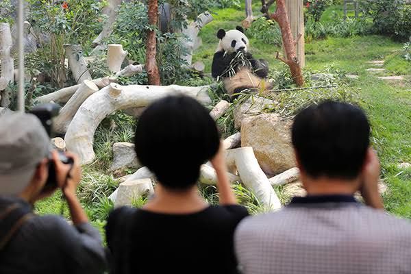 Photo of 20 REASONS TO VISIT MACAO IN 2019! 7/10 by Sammya Brata Mullick