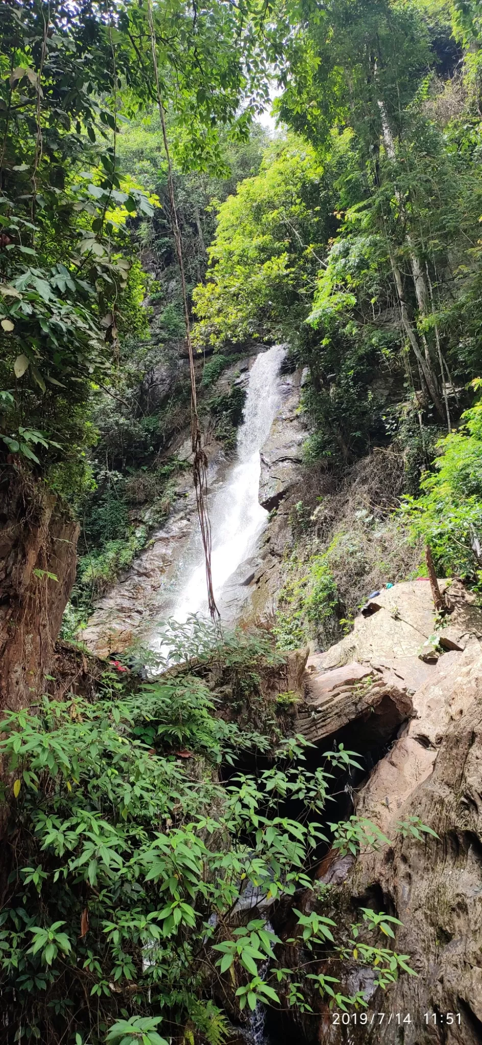 Photo of Muthodi Range Forest Office, Bagamane Road, Mallanduru, Karnataka, India by vijay hegde