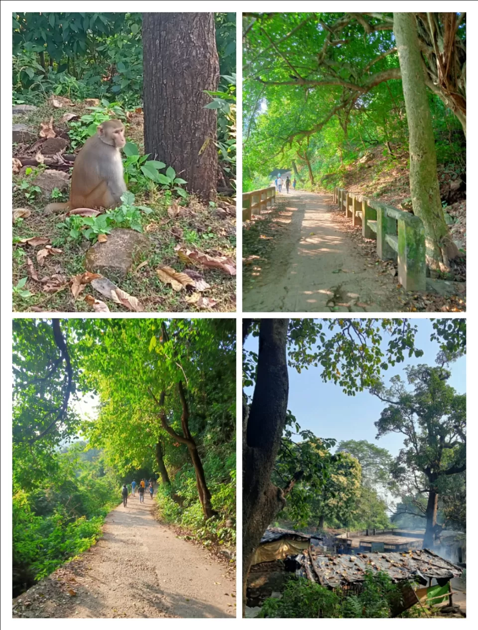 Photo of Paaras_Nath Hill: A Jain Pilgrimage! Do Check out this mesmerizing natural beauty!!! by Marco Polo