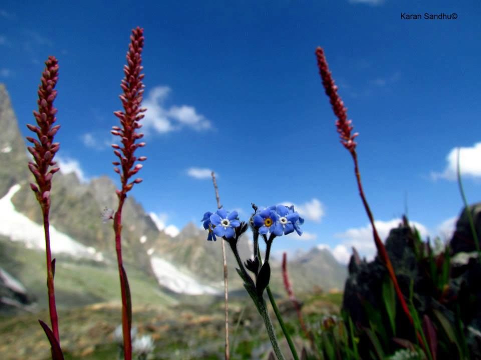 Photo of The great lakes trek 2/11 by Mohit Agrawal
