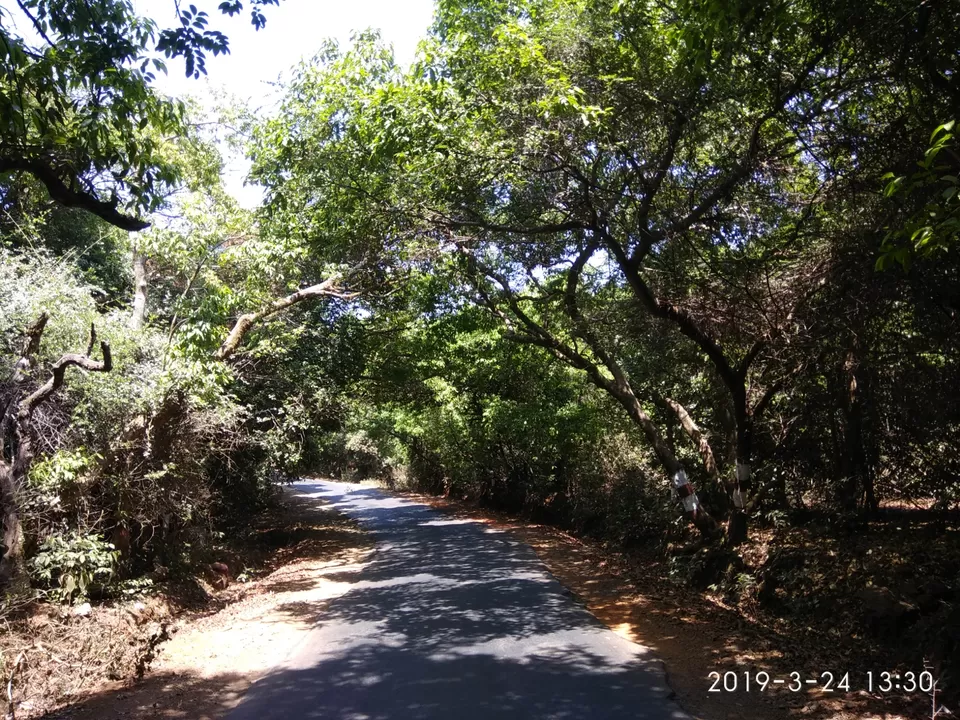 Photo of Sakha Niwas Agro Tourism, Tapola Rd, Mahabaleshwar, Maharashtra, India by Prathamesh Kotkar