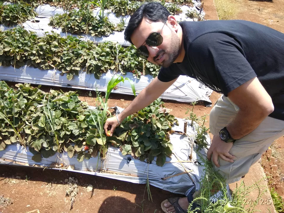 Photo of Sakha Niwas Agro Tourism, Tapola Rd, Mahabaleshwar, Maharashtra, India by Prathamesh Kotkar
