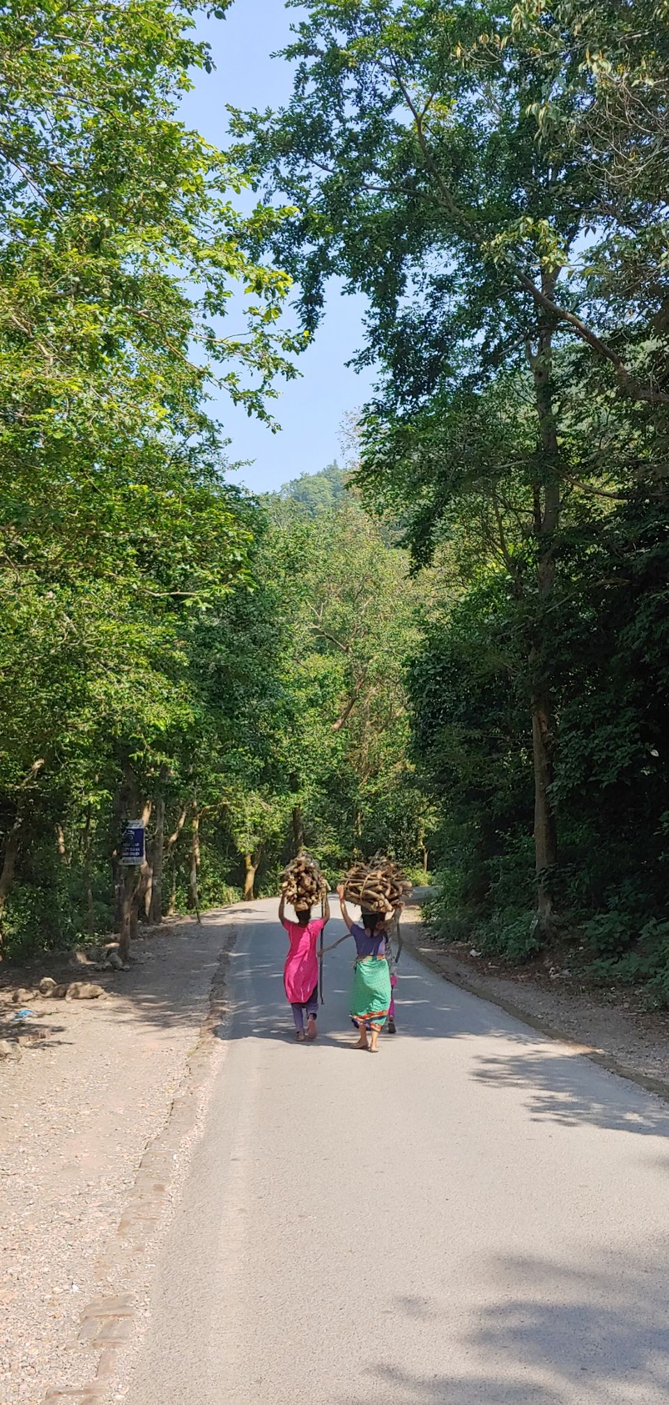 Photo of Rishikesh:In the abode of Maa Ganga by Pankaj Verma (kAGE OF NATURE)