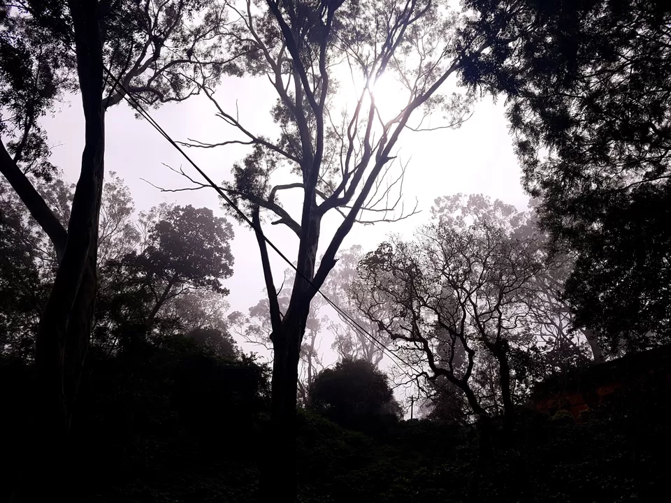 Photo of Nandi Hills Bus Stop, Nandi Hills Main Rd, Nandi Hills, Karnataka 562103, India by Akash Vaish