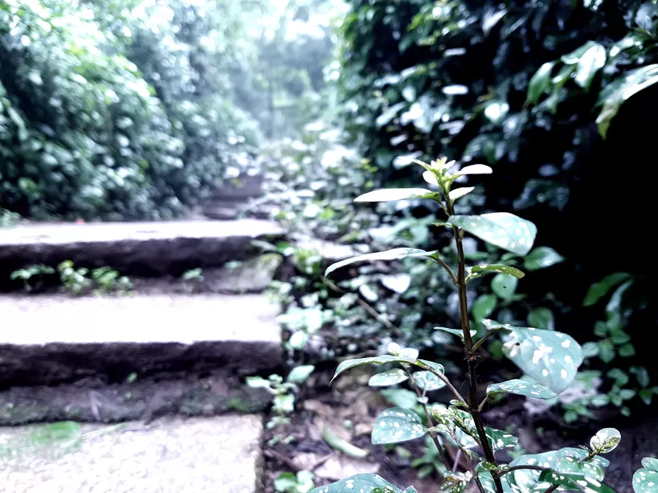 Photo of Nandi Hills Bus Stop, Nandi Hills Main Rd, Nandi Hills, Karnataka 562103, India by Akash Vaish