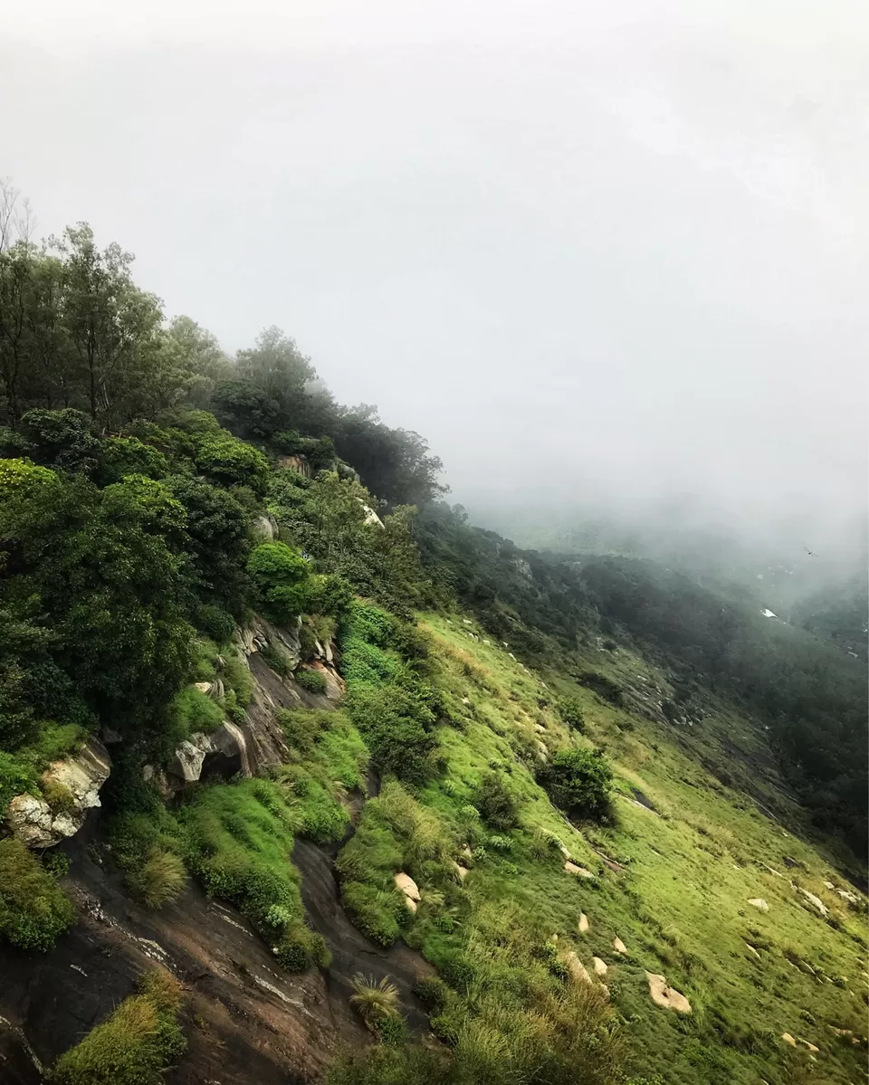 Photo of Nandi Hills Bus Stop, Nandi Hills Main Rd, Nandi Hills, Karnataka 562103, India by Akash Vaish