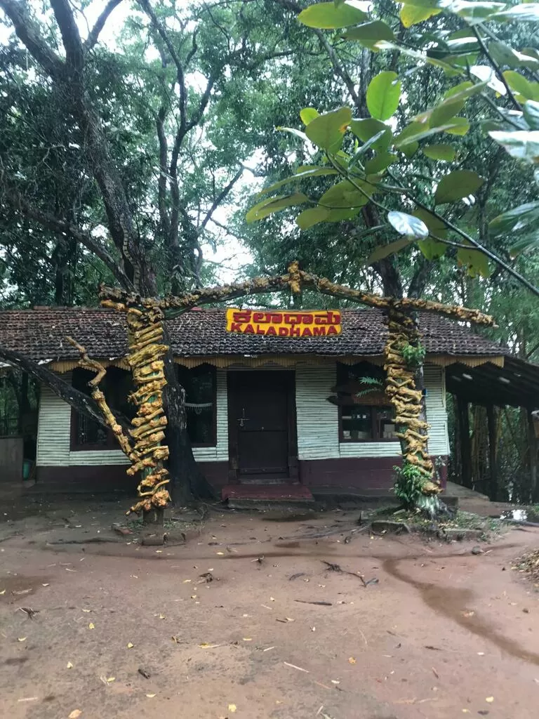 Photo of Bamboo Forest, Ashok Nagar, Tumakuru, Karnataka, India by Akash Vaish