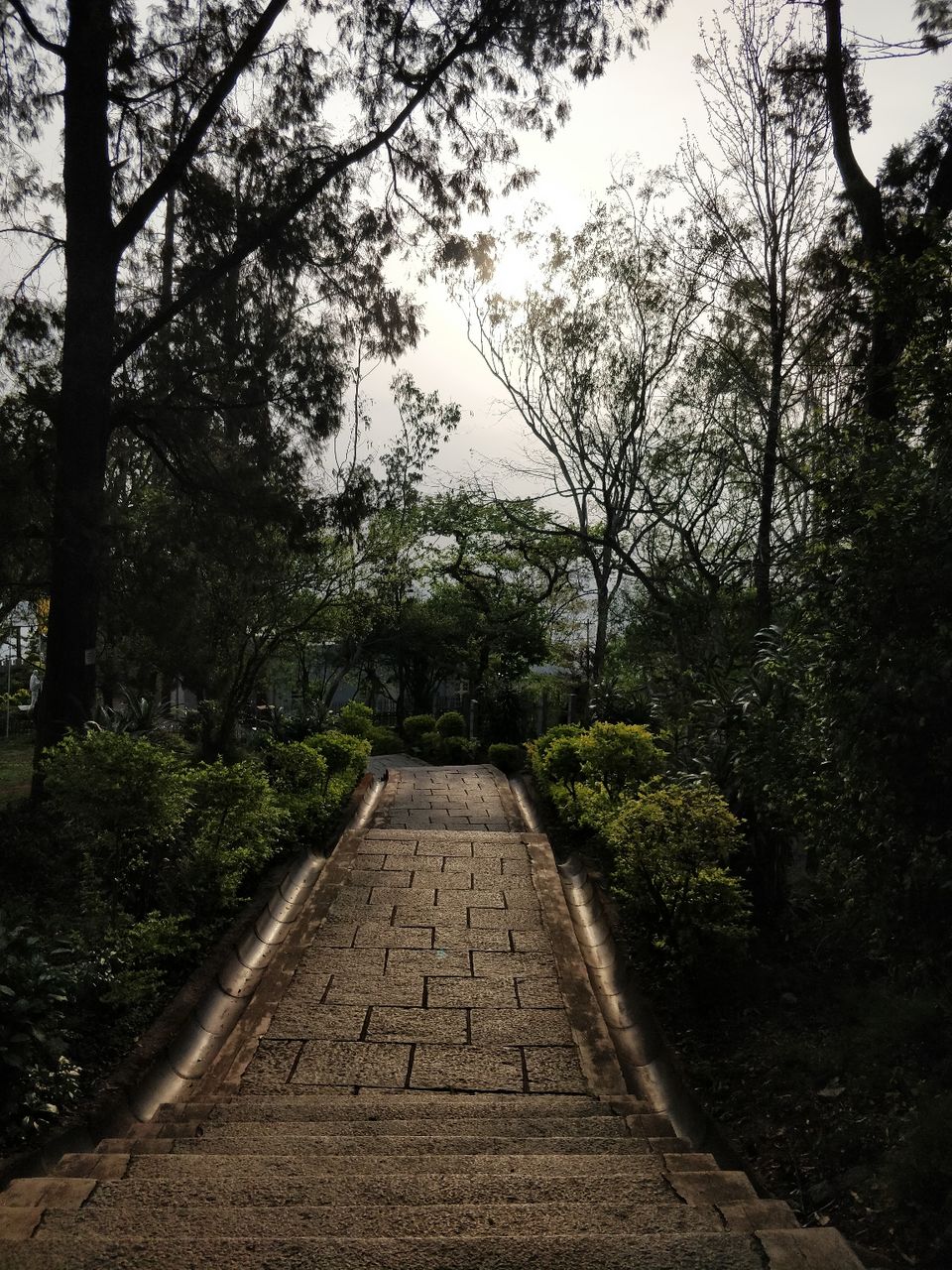 Photo of Sunrise At Nandi Hills by meghashree g