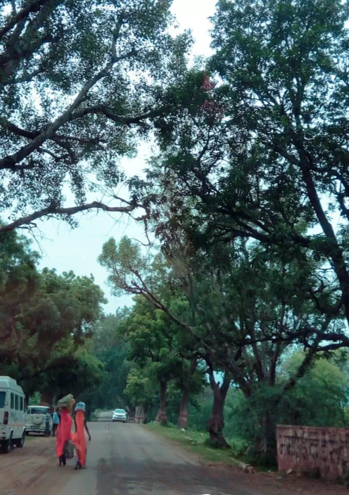 Photo of Bhangarh Fort, Bhangarh, Rajasthan, India by Gayatri Talavdekar
