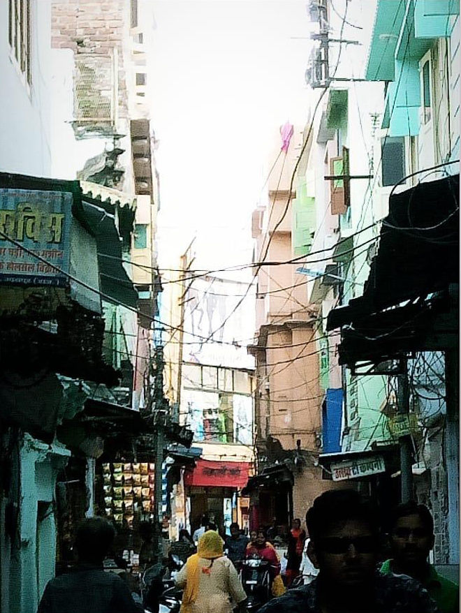 Photo of Sahelion Ki Bari, Saheli Marg, New Fatehpura, Panchwati, Udaipur, Rajasthan, India by Gayatri Talavdekar