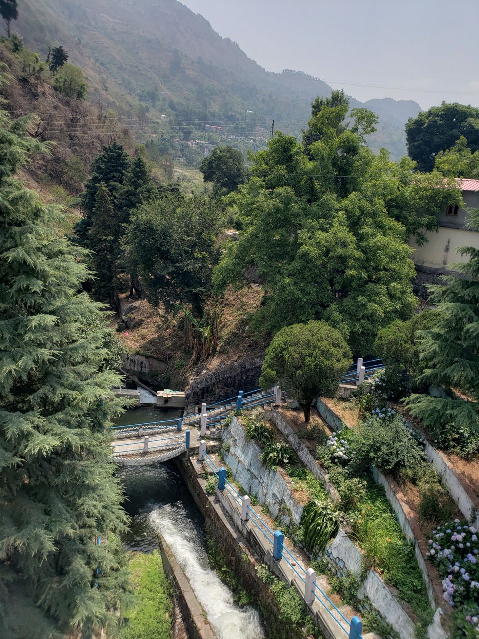 Photo of In nature's lap at Nainital by Nihal Navin