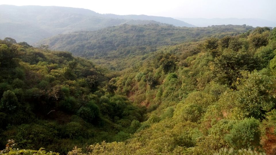 Photo of Lavasa - Hill Soaked by Piku