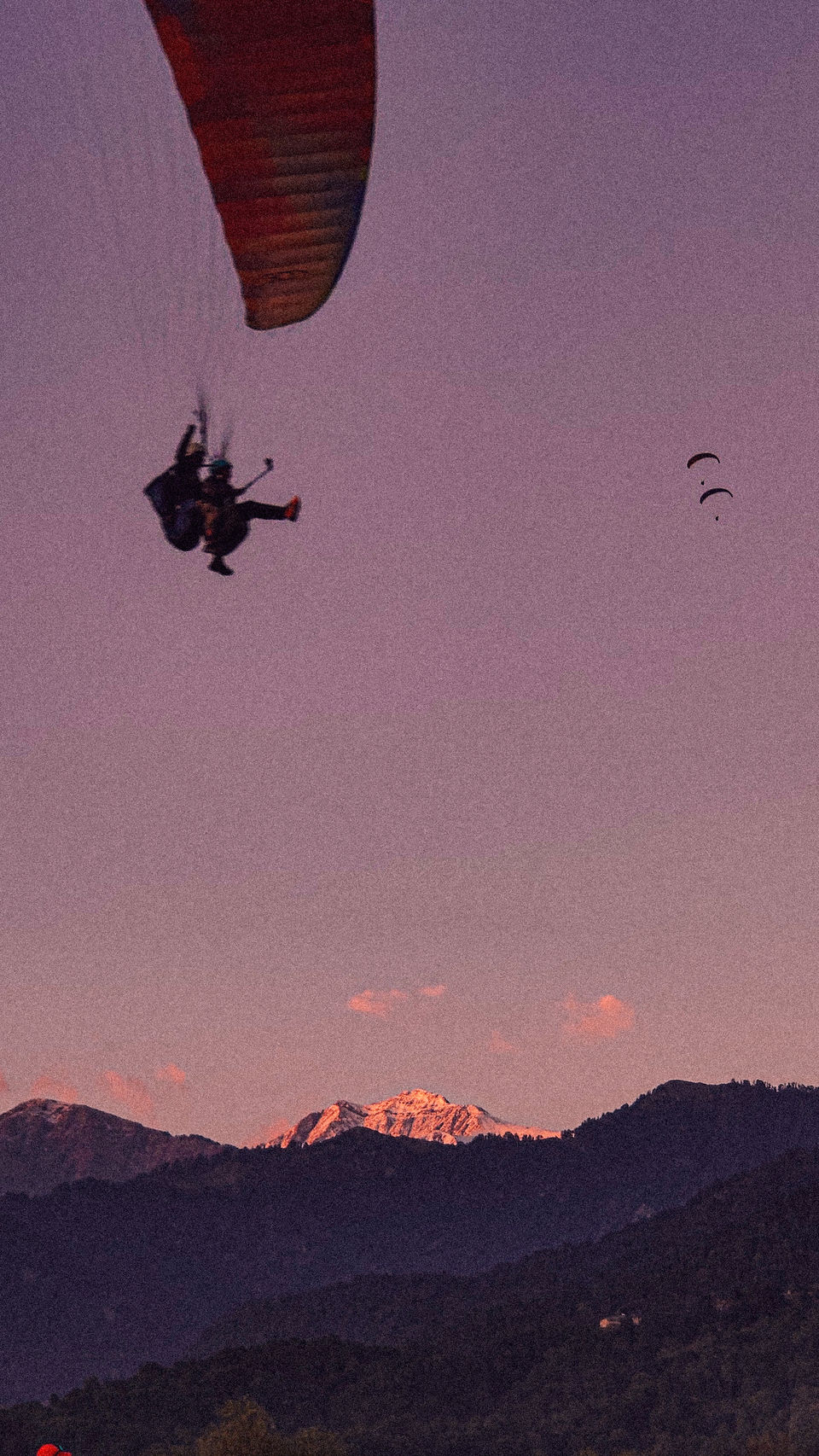 Photo of These Pictures Will Convince You to Make Bir the First Destination After Lockdown! 2/9 by Siddharth Singh