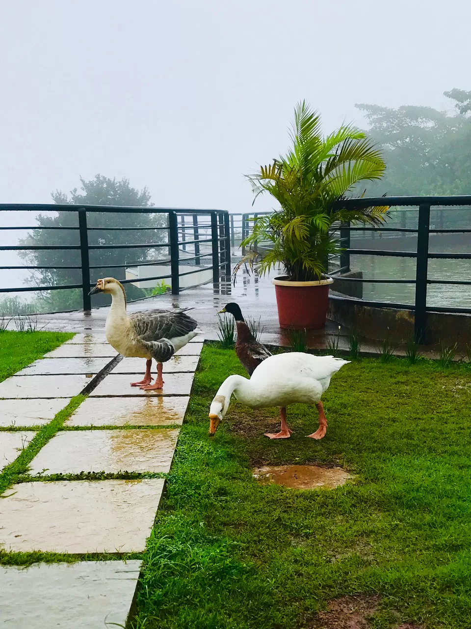 Photo of Upper Deck Resort, Gold Valley Sector D, Gold Valley, Lonavla, Maharashtra, India by TwoMuchTogether