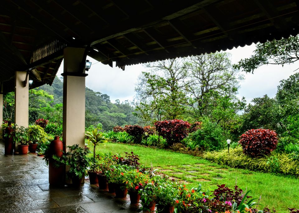 Photo of A Perfect Paradise In Coorg 1/1 by TwoMuchTogether
