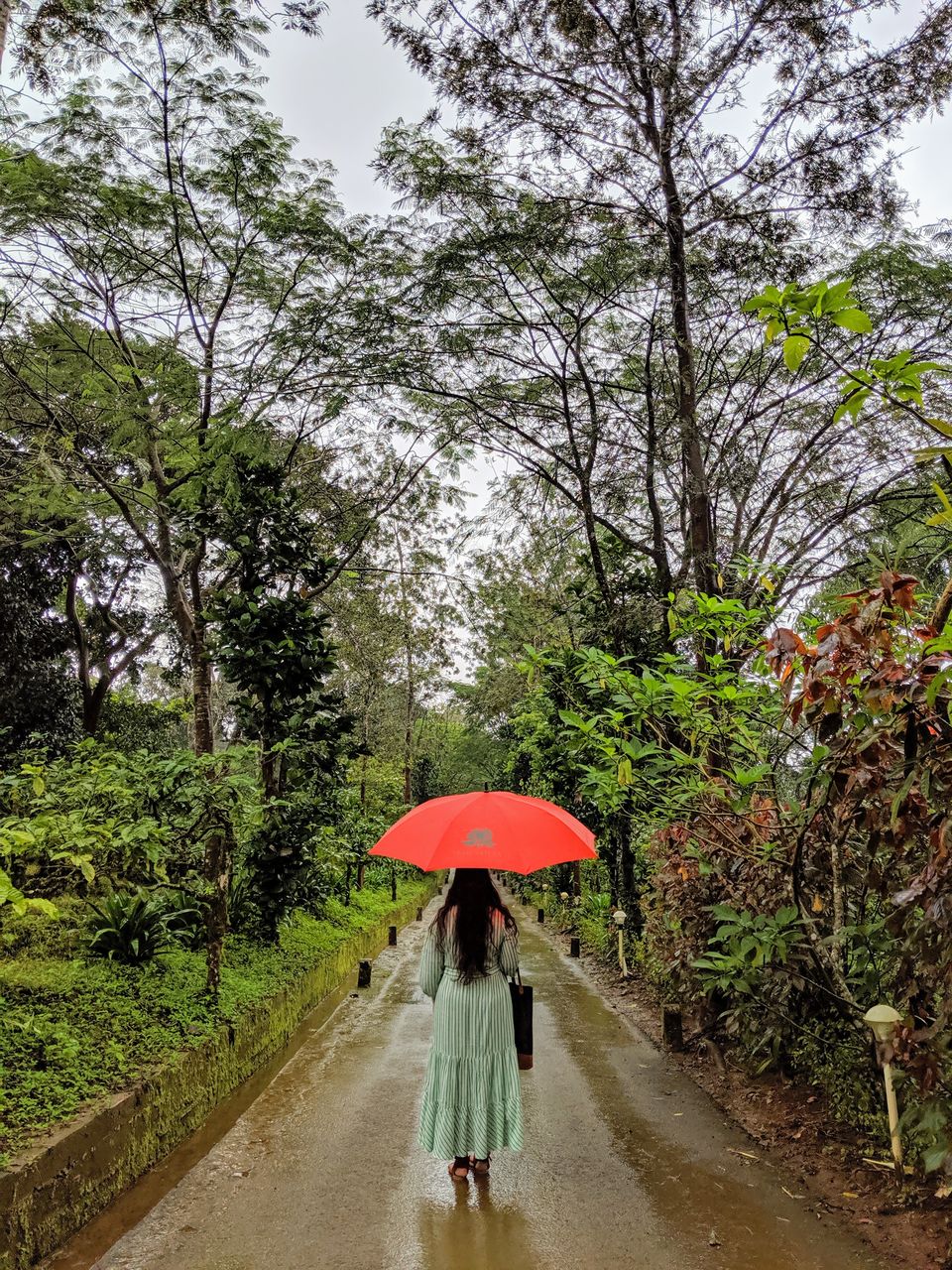 Photo of A Perfect Paradise In Coorg by TwoMuchTogether
