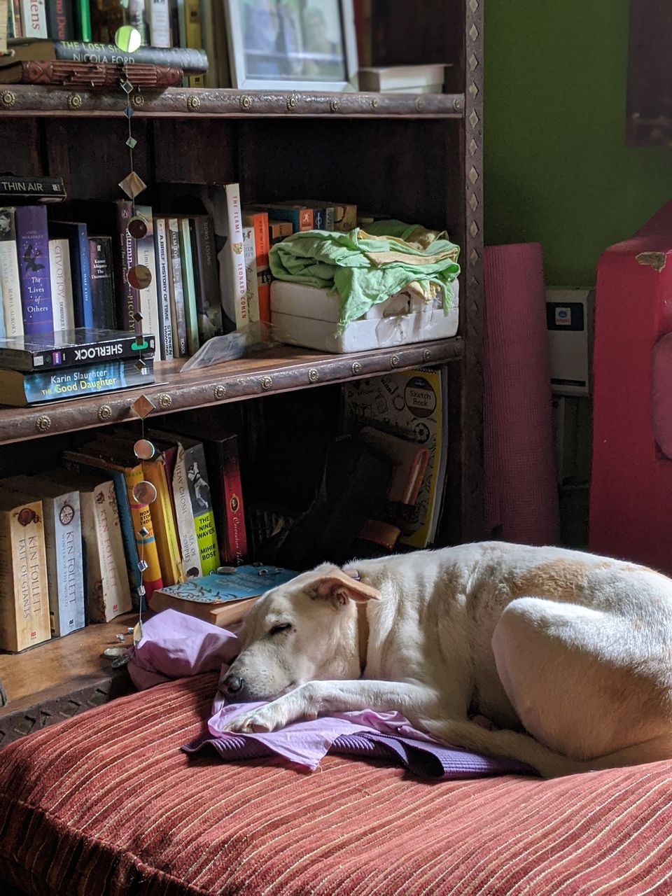 Photo of Casa Susegad - An ideal homestay in Goa by TwoMuchTogether